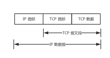 TCP数据在IP数据报中的封装